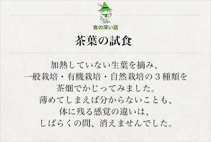 茶葉の試食