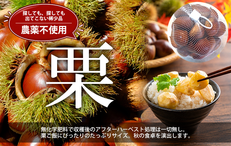 栗