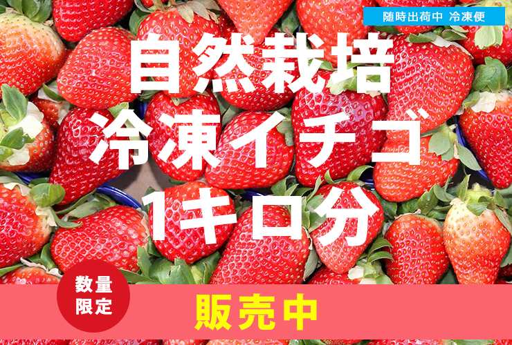 冷凍イチゴ