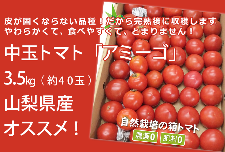 中玉トマト「アミーゴ」