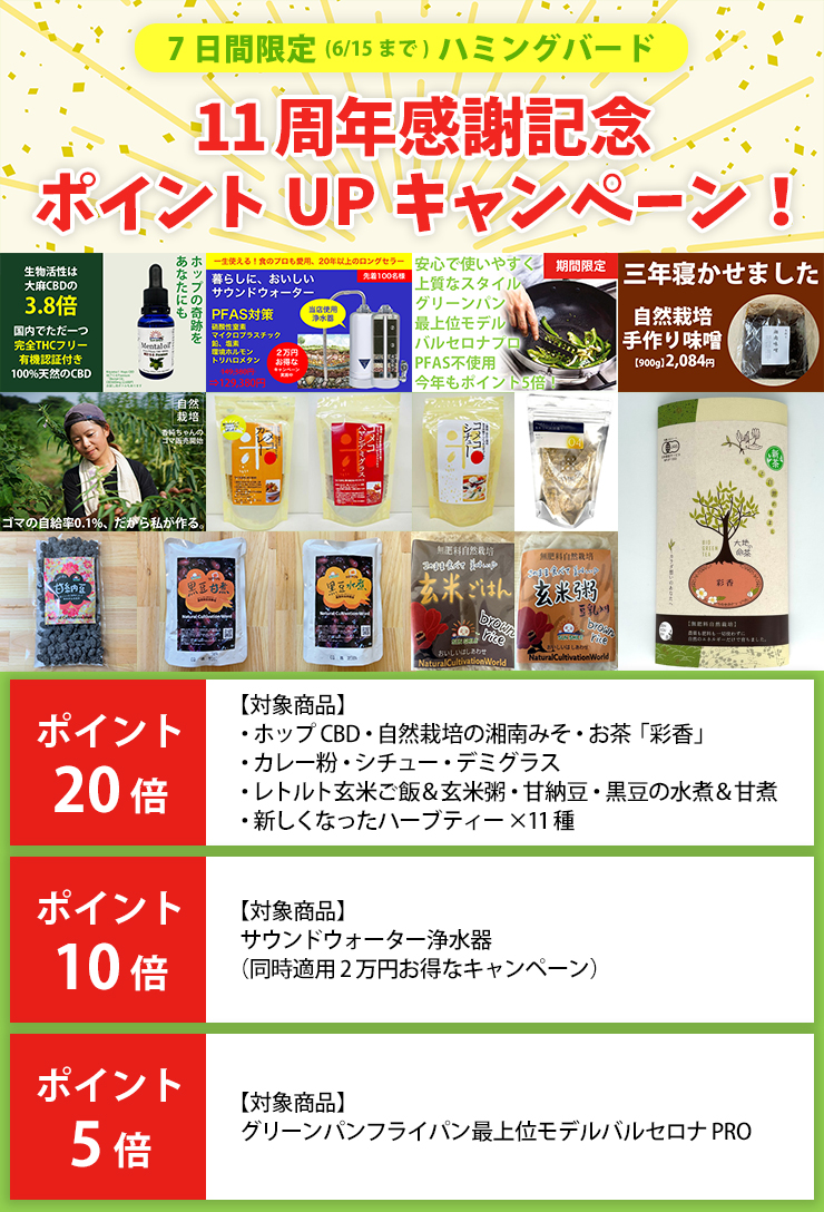 11周年感謝記念ポイントUPキャンペーン！