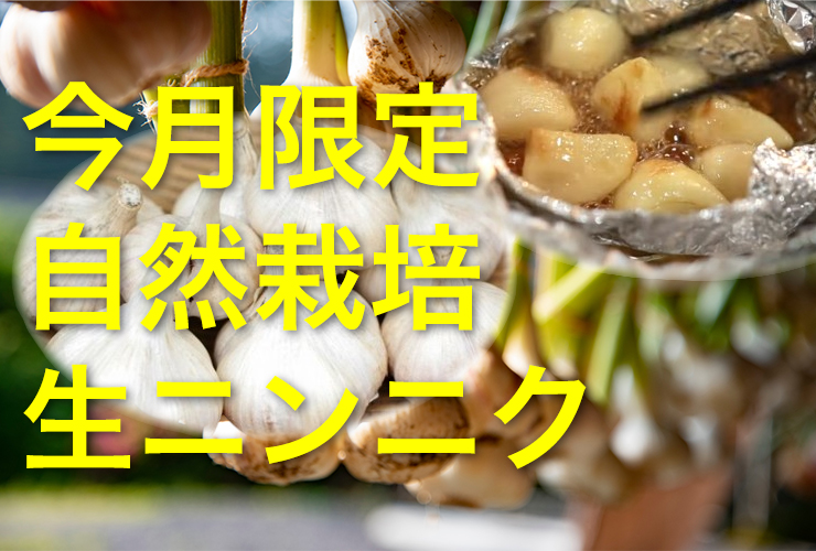 生ニンニク