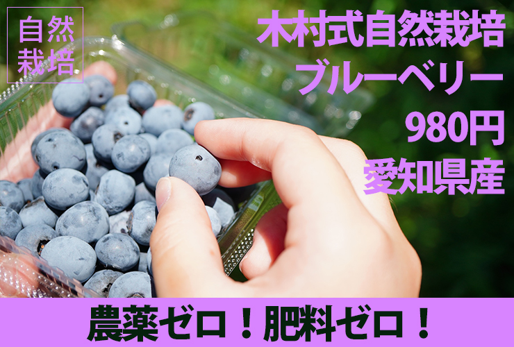ブルーベリー