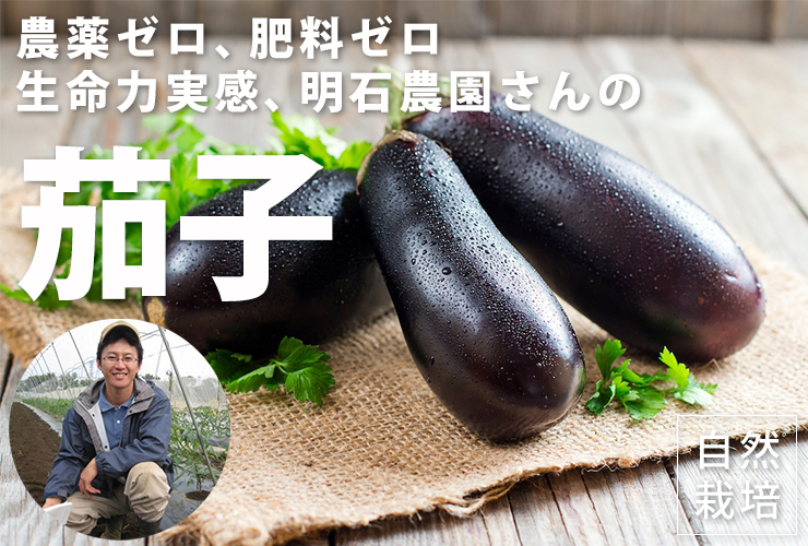 茄子