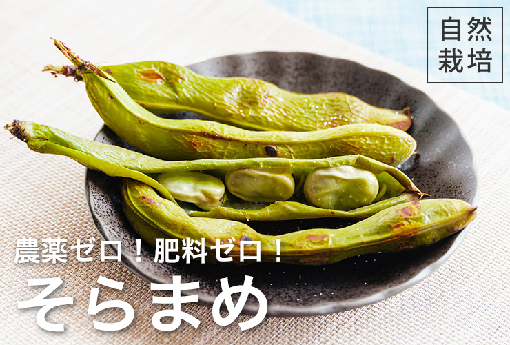 そらまめ