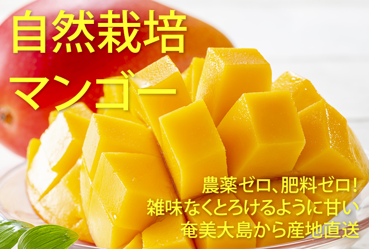 マンゴー