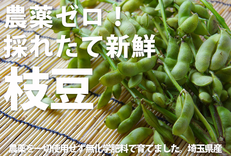 枝豆