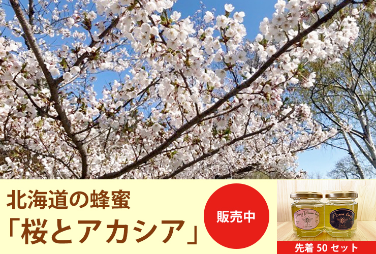 蜂蜜「桜とアカシア」