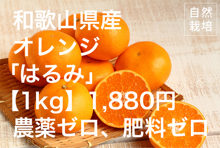 オレンジ