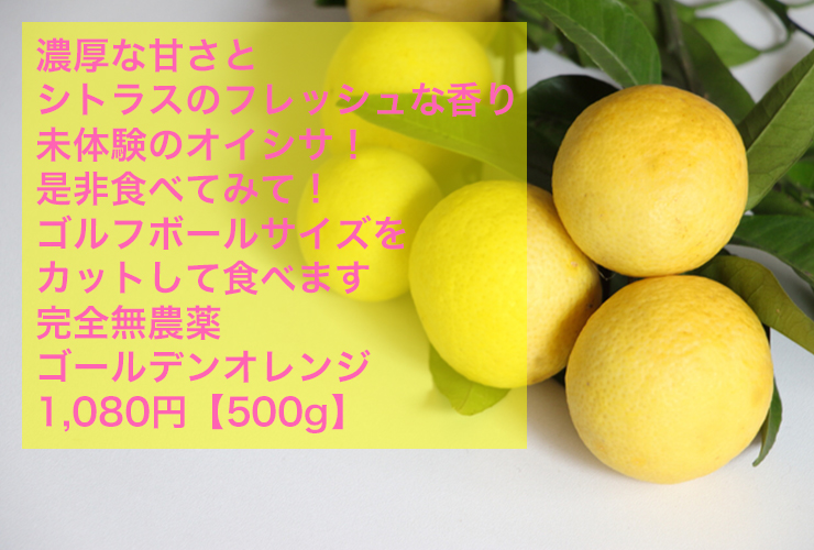 ゴールデンオレンジ