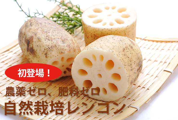 レンコン
