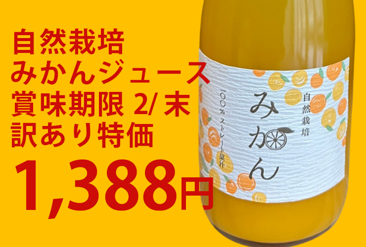 みかんジュース