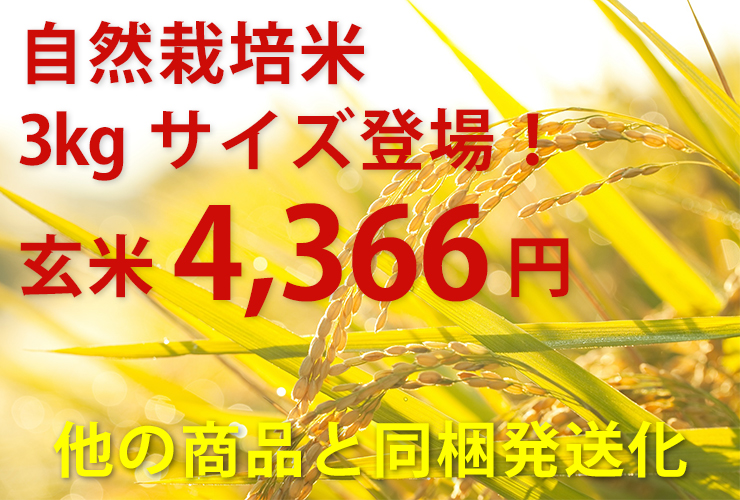 自然栽培米3kgサイズ登場！