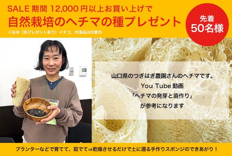 ヘチマの種プレゼント