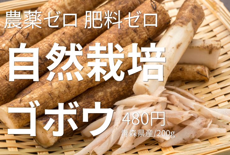 自然栽培のゴボウ