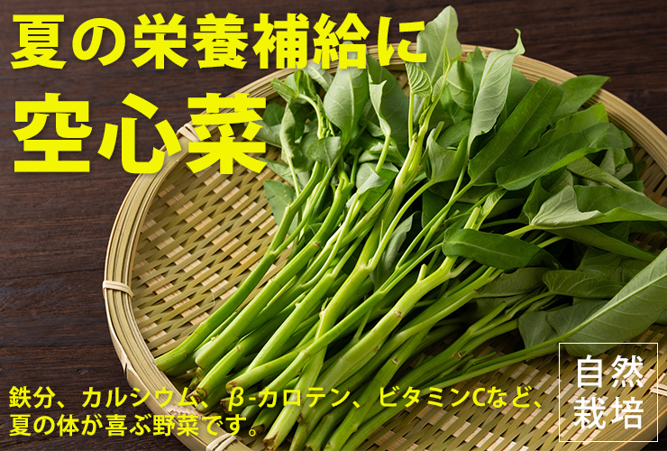 空心菜