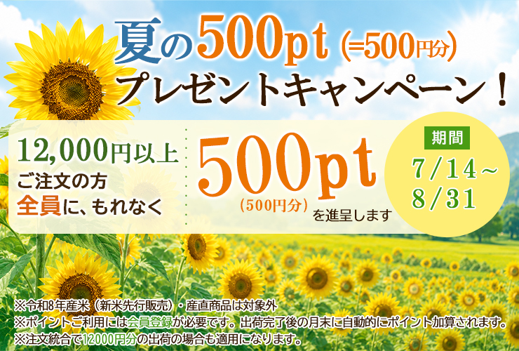 夏の500pt（=500円分）プレゼントキャンペーン！