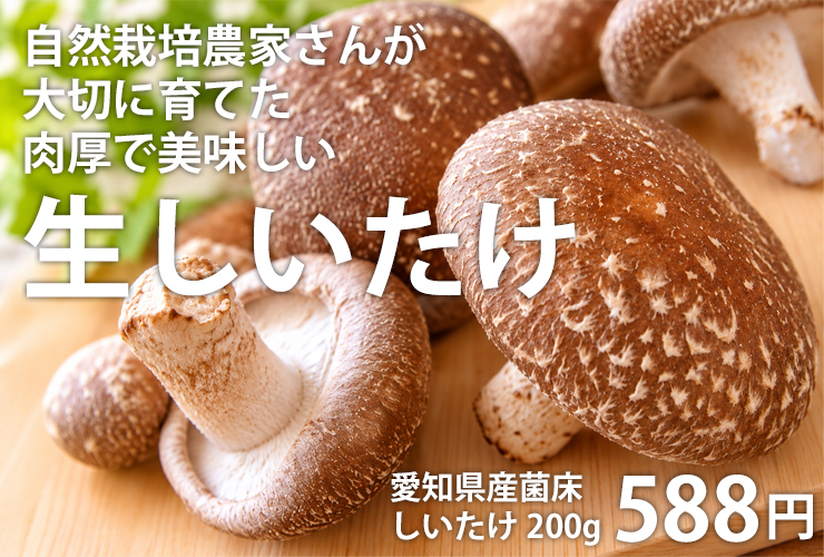 生しいたけ