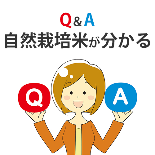 Q＆A 自然栽培米が分かる