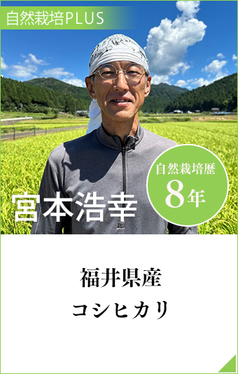 福井県産コシヒカリ 宮本浩幸