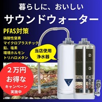 先着100名様限定、2万円お得なキャンペーン！149380円⇒129380円（8580円相当のプレフィルターキット込み）/塩素、鉛、PFASなどの有害物質を除去/サウンドウォーター浄水器/送料無料