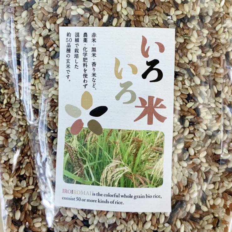 農薬・化学肥料を使わず混植で栽培した50品種の玄米雑穀「いろいろ米」【1kg】栃木県産/#