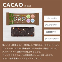 青パパイヤ酵素入りバー「カカオ」【1本/35g】