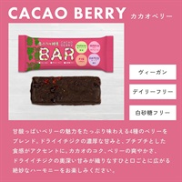 青パパイヤ酵素入りバー「カカオベリー」【1本/35g】