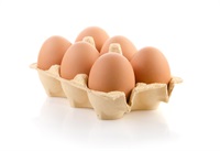 【定期宅配】北海道の平飼い「亜麻仁卵」１パック（6玉）美味しい卵でオメガ３も採れる　※常温発送（クール便同梱発送可）