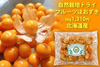 北海道産自然栽培のフルーツほおずきのドライ【50g】農薬0ゼロ！肥料0ゼロ！