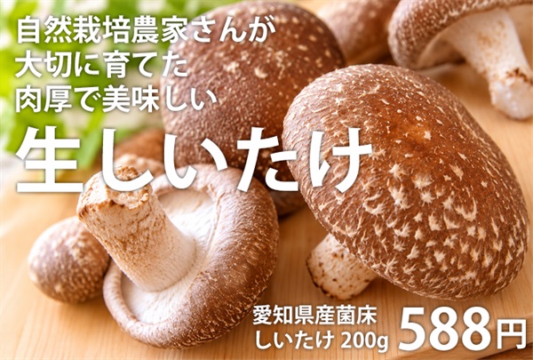 自然栽培農家さんが育てた、肉厚で美味しい無農薬「生しいたけ」【約200g】愛知県産/菌床※クール便（出荷期間11/3-11/6）