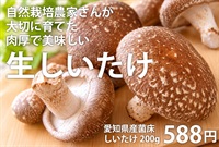 自然栽培農家さんが育てた、肉厚で美味しい無農薬「生しいたけ」【約200g】愛知県産/菌床※クール便（出荷期間11/3-11/6）