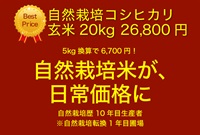 第5弾【入荷済み】最高のコストパフォーマンス！スタッフ一押し！令和7年埼玉産 コシヒカリ20kg【玄米】一年保存脱気フレッシュ（5kg×4袋）むさしのお米-自然栽培歴10年（転換1年目圃場）送料無料