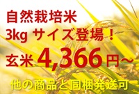 第5弾【入荷済み】最高のコストパフォーマンス！スタッフ一押し！令和7年埼玉産 コシヒカリ3kg【玄米】むさしのお米-自然栽培歴10年（転換1年目圃場）紙袋入り