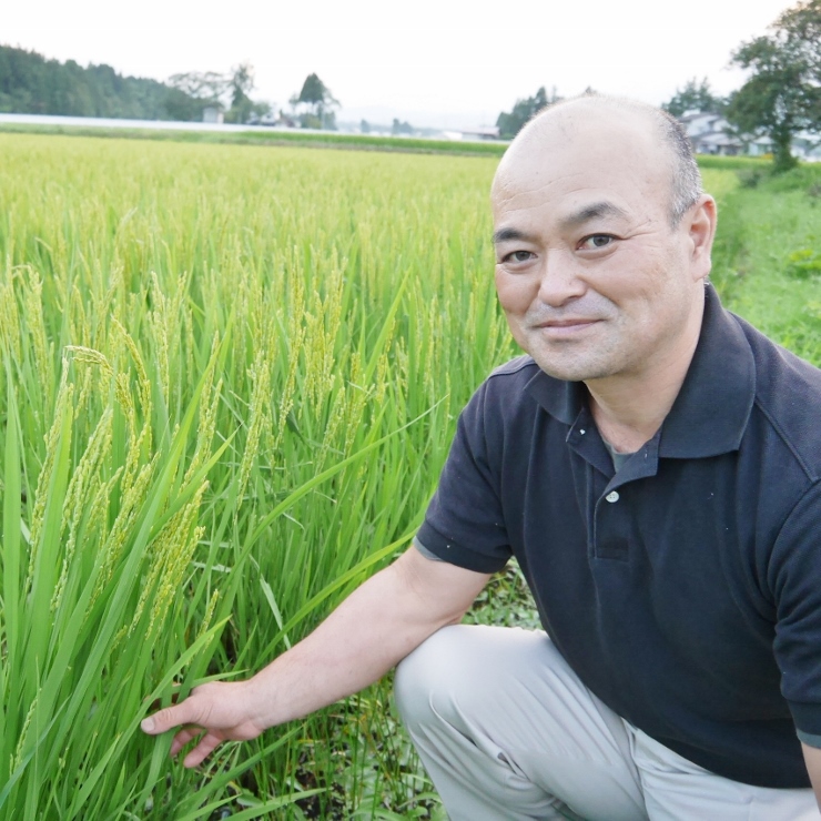 令和4年産「もち米」 岩手県産みやこがね1kg【玄米】―阿部自然農園-無肥料自然栽培