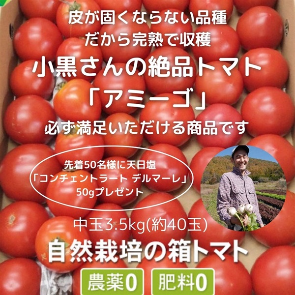 皮が固くならない品種！だから完熟後に収穫。柔らかくておいしい！小黒さんの「自然栽培の箱トマト(中玉)アミーゴ」【1ケース(40玉程度/3.5kg入り)】標高1200m寒暖差で絶品/クール便/天日塩付き