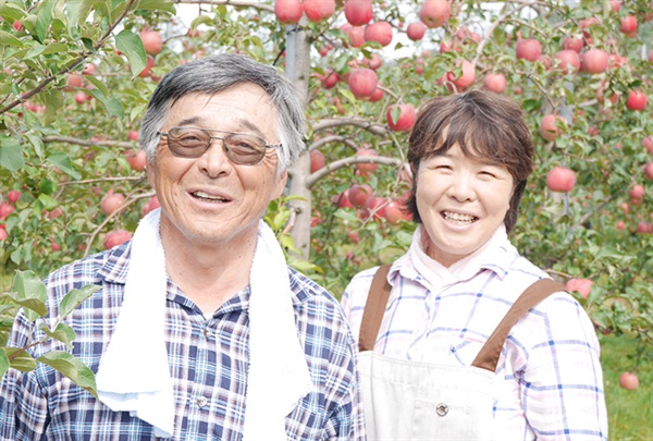 【1月9日出荷開始】イキイキ生きてる！工藤さんの冬のリンゴ「フジ」【秀品3kg】肥料・除草剤不使用、酢散布で病気予防、自然派「減農薬」リンゴ/青森県産/サイズお任せ（大玉で8玉から極小で14玉入