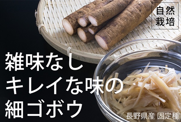  農薬0ゼロ!肥料0ゼロ!自然栽培の固定種「細ゴボウ」【500g】～長野県産 ※常温発送可