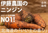 リピート注文回数NO1! 耕作の北限から、北海道、伊藤農場の自然栽培「ニンジン」【2kg】～いい土の香りシリーズ～　※常温配送可