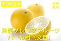 農薬0ゼロ!肥料0ゼロ!採れたて自然栽培のパール柑(文旦)【良品2kg】 熊本県産　〜グレープフルーツに似た味で爽快感がある柑橘です。皮はピール、マーマレードに使えます(4/26まで)