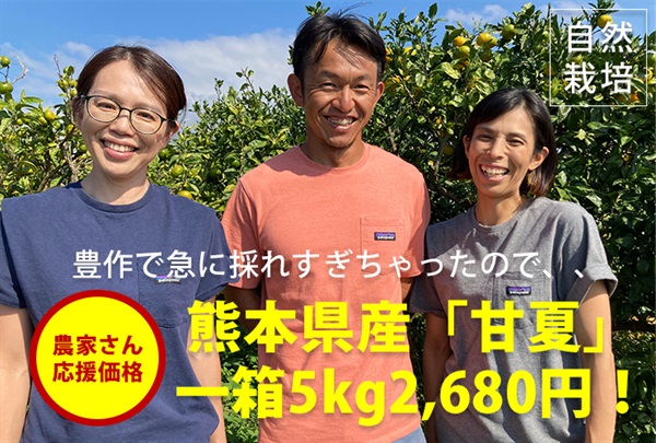 甘夏箱売り（5kg）熊本県産 農薬ゼロ、肥料ゼロ、自然栽培「甘夏」豊作で採れすぎのためお特価でご提供いたします