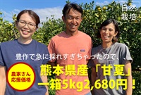 甘夏箱売り（5kg）熊本県産 農薬ゼロ、肥料ゼロ、自然栽培「甘夏」豊作で採れすぎのためお特価でご提供いたします(5/24まで)