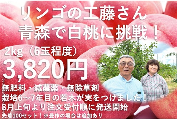 急きょサプライズ10セット追加入荷！ 青森県、工藤さんの「白桃」【2kg（6玉程度）】肥料・除草剤不使用、減農薬　 ※クール便 8/23(金)頃まで出荷