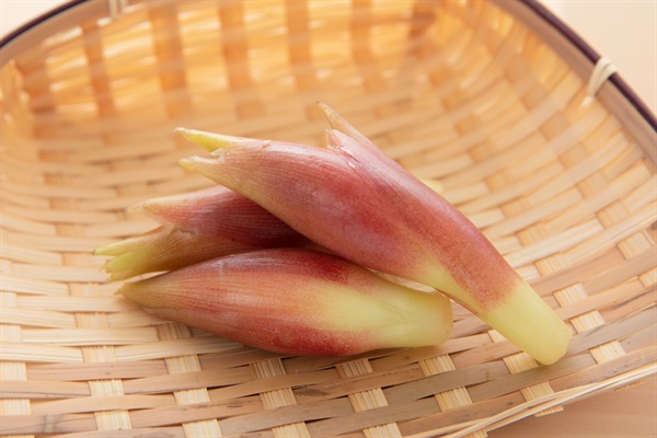 【残り2セット】農薬ゼロ、肥料ゼロ、自然栽培「ミョウガ」【約50g】熊本県産 ※クール便（出荷期間/14-7/17）