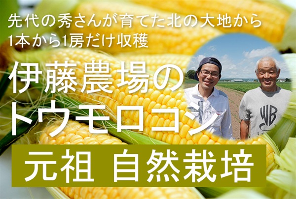 いい土の香り!先代の秀さんが育てた北の大地から!1本から1房だけ収穫！「自然栽培トウモロコシ」【3本】農薬・肥料0ゼロ、フルーツのような甘さ 北海道伊藤農場  ※クール便9/20出荷まで