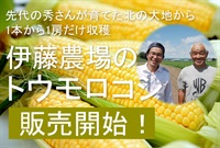 いい土の香り!先代の秀さんが育てた北の大地から!1本から1房だけ収穫！「自然栽培トウモロコシ」【3本】農薬・肥料0ゼロ、フルーツのような甘さ 北海道伊藤農場  ※クール便