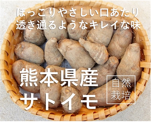 ほっこり、きれいな味！農薬0ゼロ!肥料0ゼロ! 自然栽培の里芋（サトイモ）【良品1kg】熊本県産　※常温発送可 10/9出荷開始