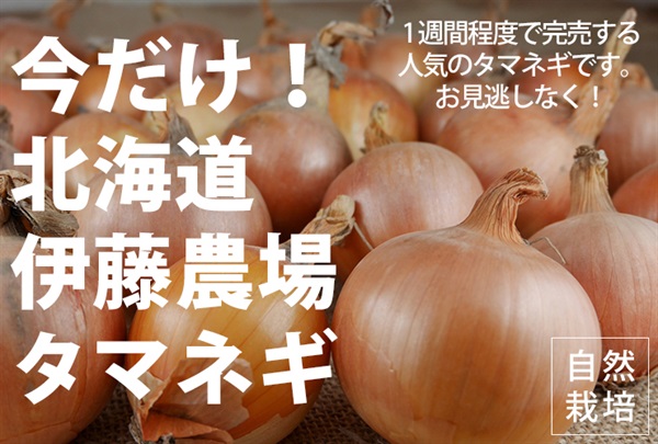 耕作の北限、北海道伊藤農場、自然栽培「タマネギ」【2kg】農薬ゼロ、肥料ゼロ！「いい土の香り」