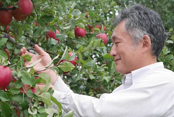 残りあと2セット！夏堀さんのリンゴ「フジ」【秀品3kg】9-12玉平均、肥料・除草剤不使用、自然派「減農薬」リンゴ/青森県産