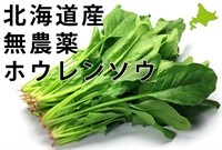 北海道産の無農薬（農薬不使用）ホウレンソウ【150g】クール便（出荷期間4/29-5/2）